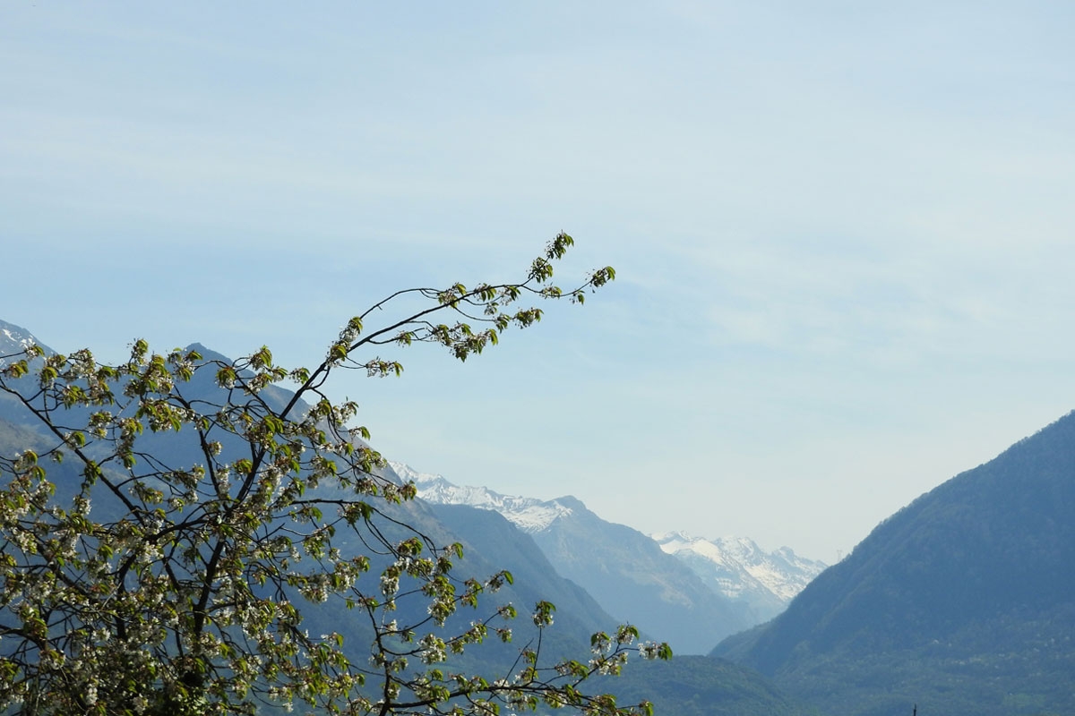 Les chalets du balandrau - Location de chalets dans les Pyrénées